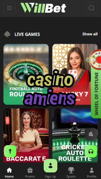 Casino Amiens - Best Picardy Casino Games-bgocasinouk.ydblkf.net